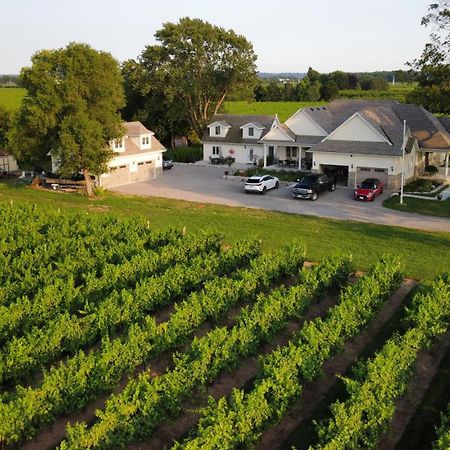 Villa In The Vines Niagara-on-the-Lake Extérieur photo