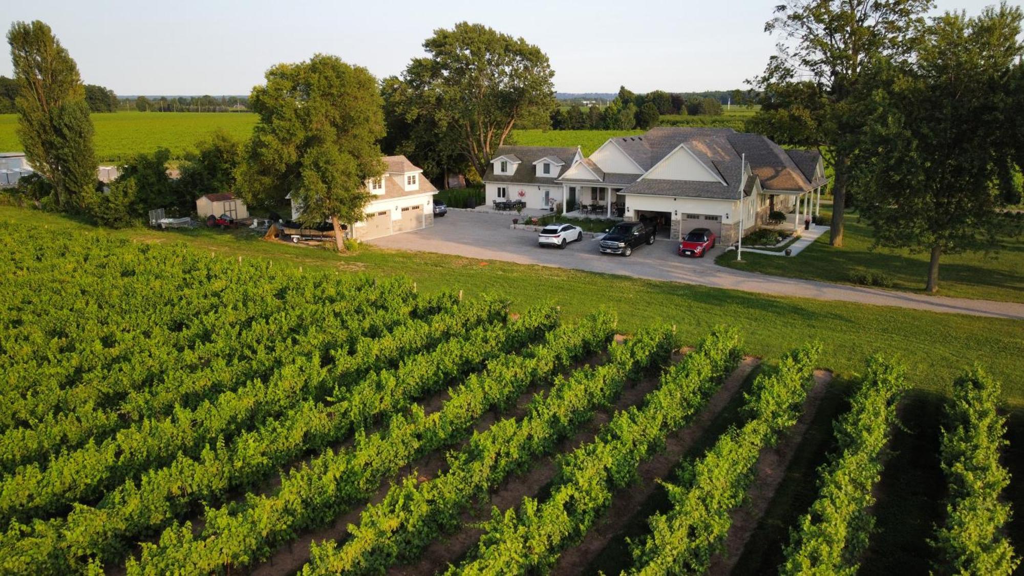 Villa In The Vines Niagara-on-the-Lake Extérieur photo